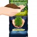 Pennington Smart Seed Northeast Mix Grass Seed, 7 lb   564077316